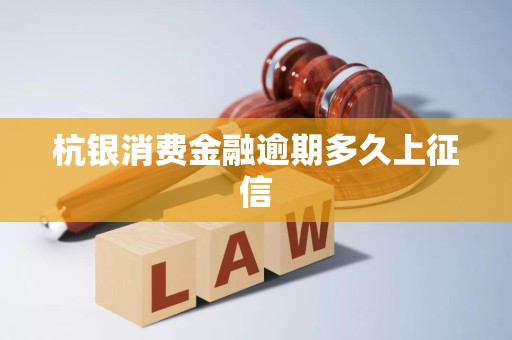 杭銀消費(fèi)金融逾期多久上征信？全面解析企業(yè)征信服務(wù)